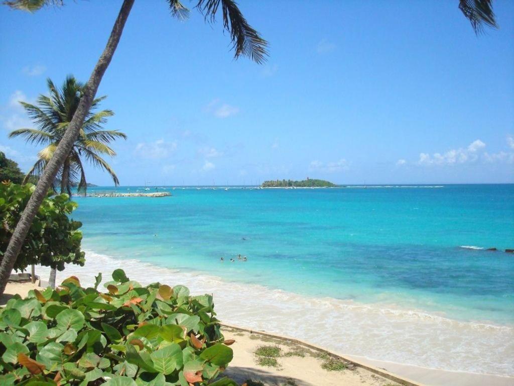 Ilet Bleu Studio Cosy Rdc Vue Mer Et Jardin - Acces Direct Plage Le Gosier  Exterior foto